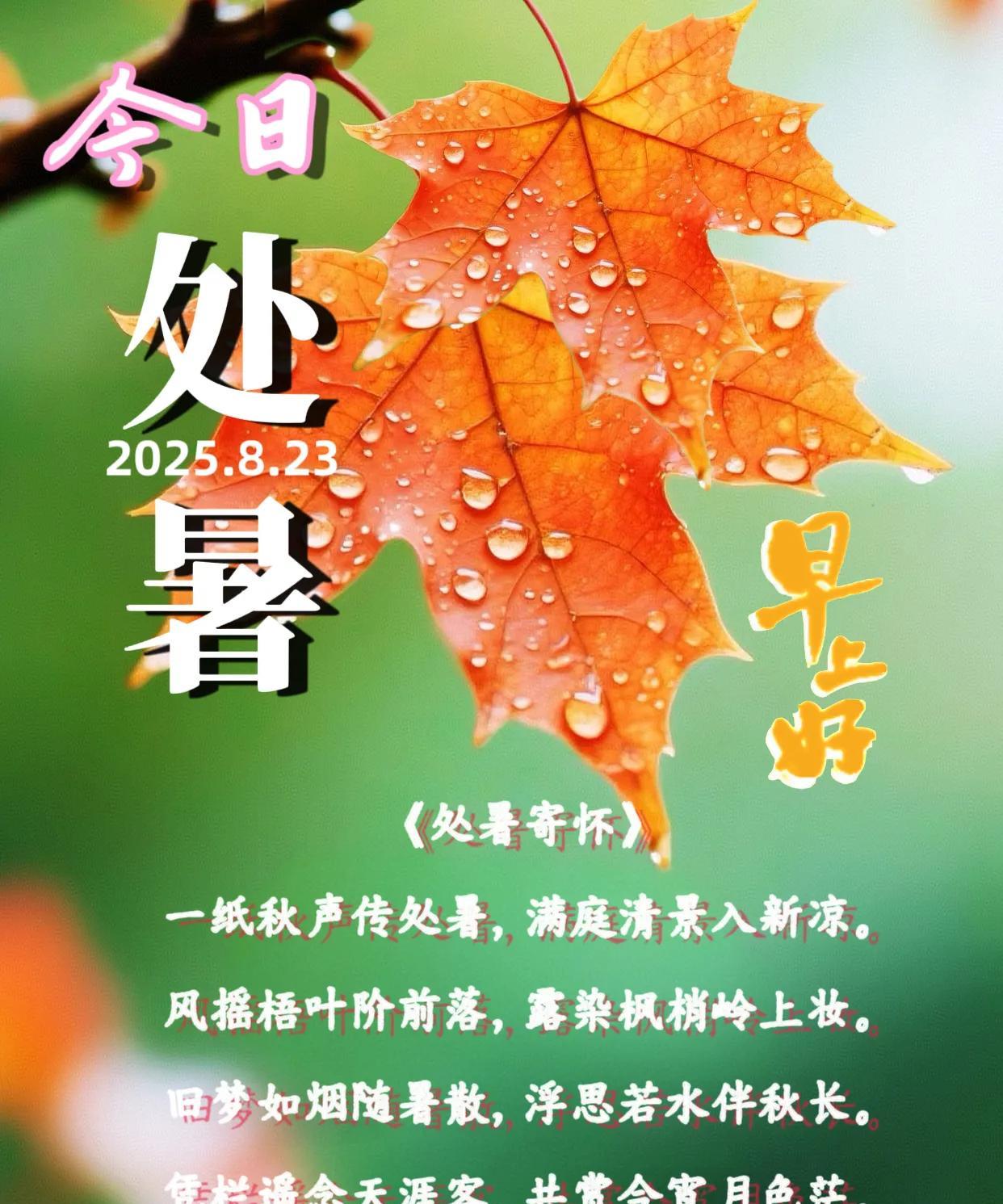 朋友：早上好！今日交处暑节气。《处暑寄怀》一纸秋声传处暑，满庭清景入新凉。