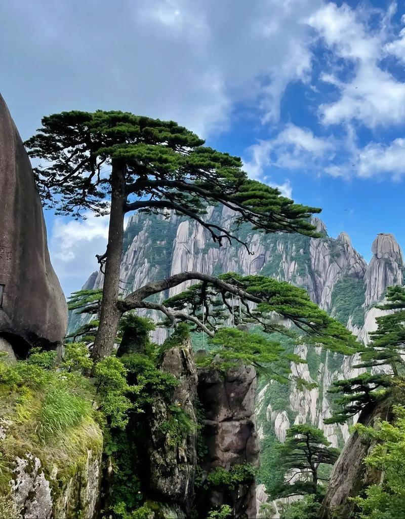 最近惊讶地发现，原来全国名山风景区门票下降了，虽然需求火爆黄山风景区门票从230