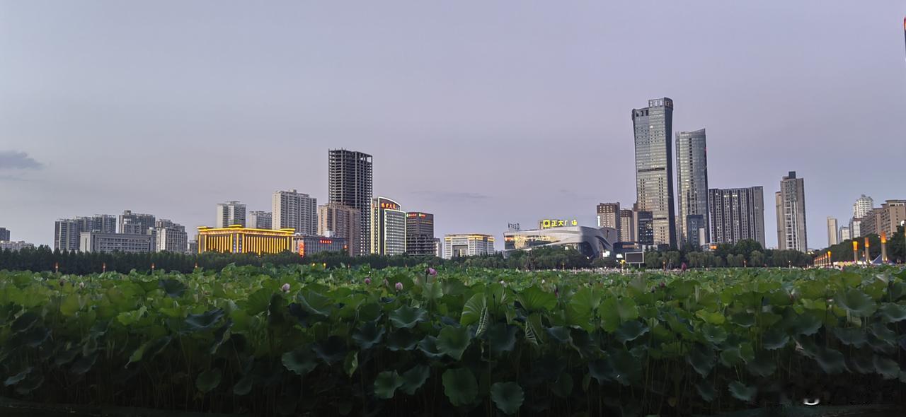关于跑步，有些话我不得不说。我的一位朋友，5月24日跑完兰马全马回到家里，早7