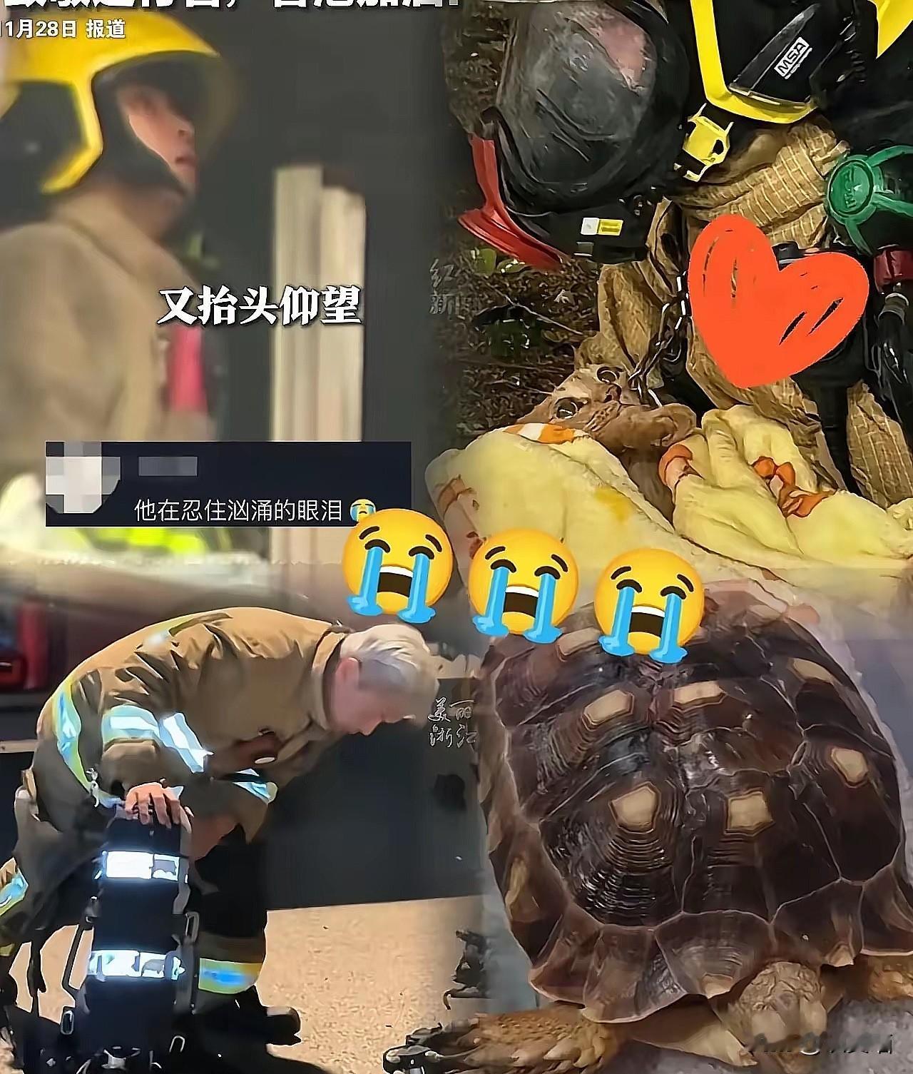 🔥香港那场烧了几天几夜的大火，烧穿的何止是钢筋水泥？烧穿的更是无数家庭的安稳梦