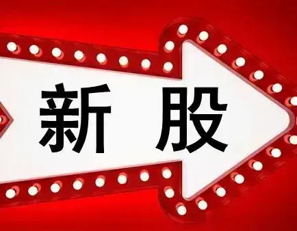 有猫腻? 原来散户申购新股一年可中签1-2只, 近两年一直都不中签