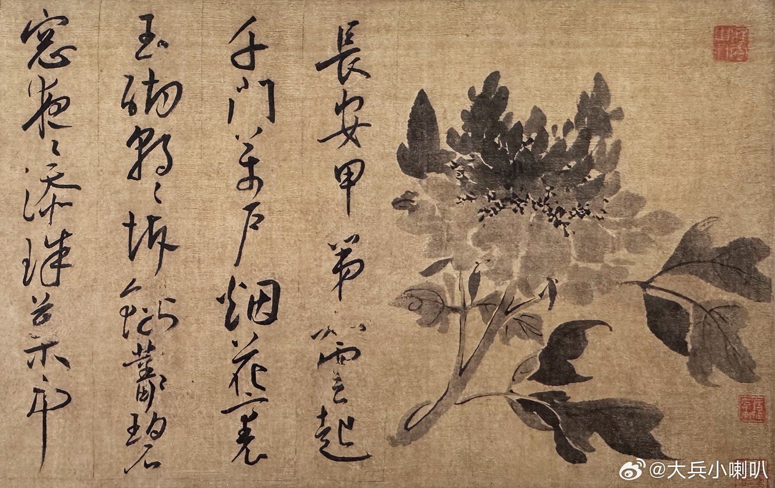 国史古风【中华名画欣赏《牡丹图并行草书赋》（王宠）】《牡丹图
