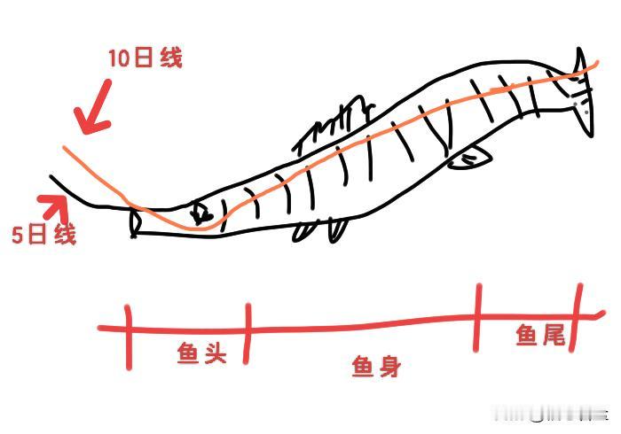 炒股最理想的状态就是买在鱼头，卖在鱼尾，吃上大几十个点，其实这都是理想状态，根本