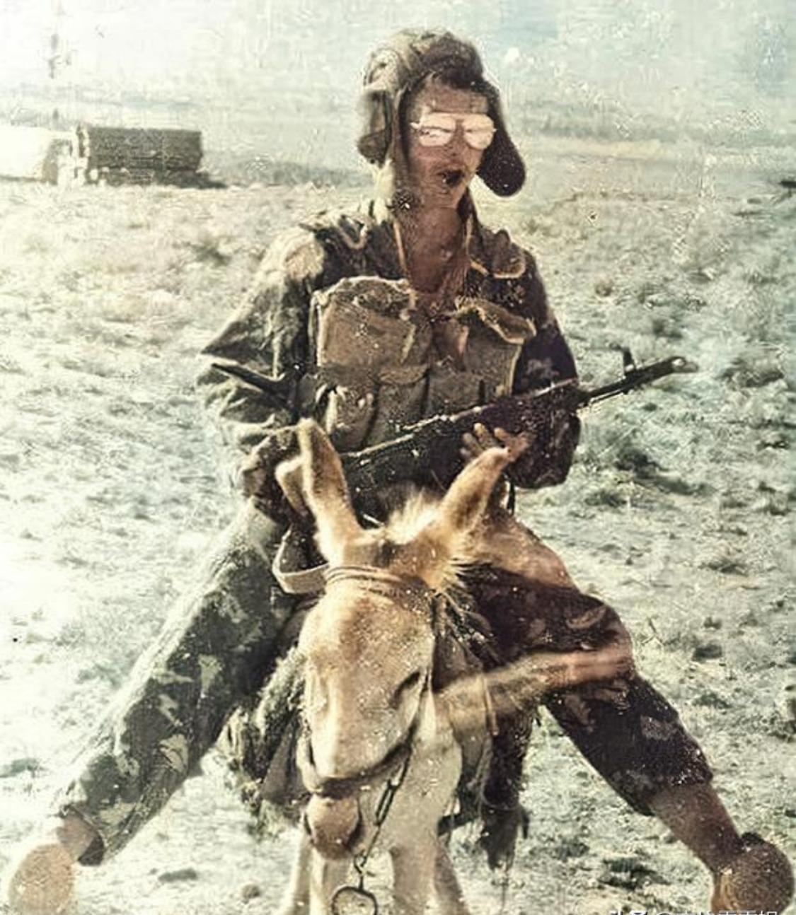 1983年，美国买了新疆几千头骡子，又买了10亿美元的中国武器，这些骡子沿着唐僧