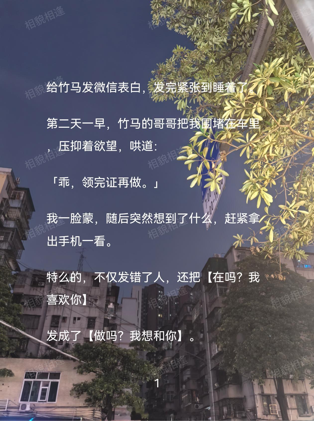 甜宠小说✅《相貌相逢》✅甜宠文，校园文，青梅竹马
