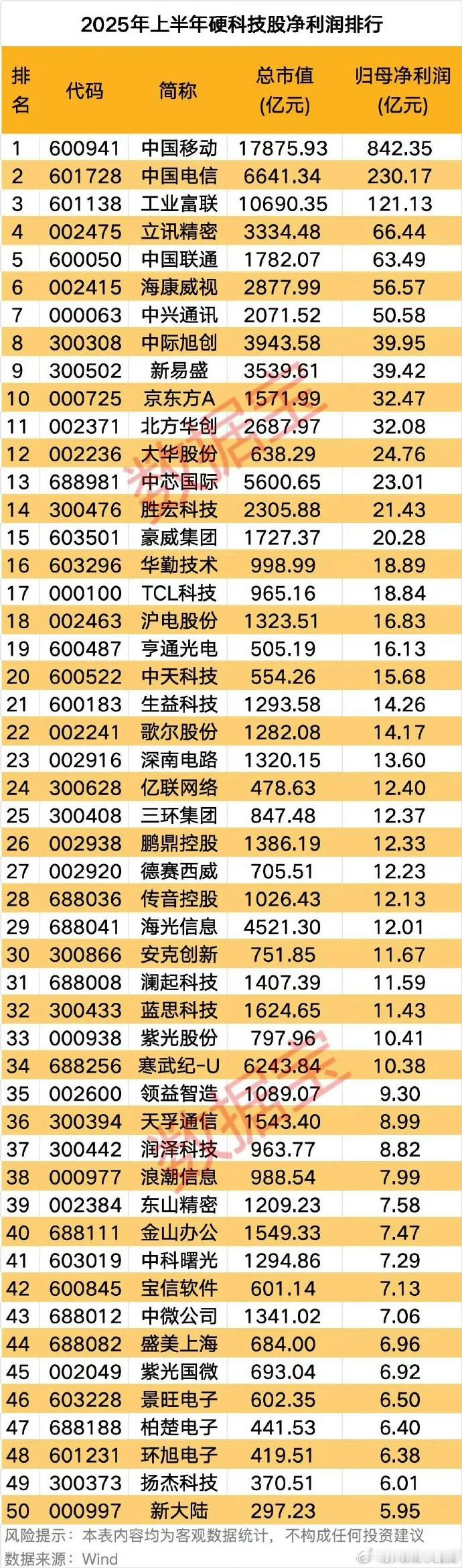 2025年硬科技净利润表格AI芯片AI大模型​​​