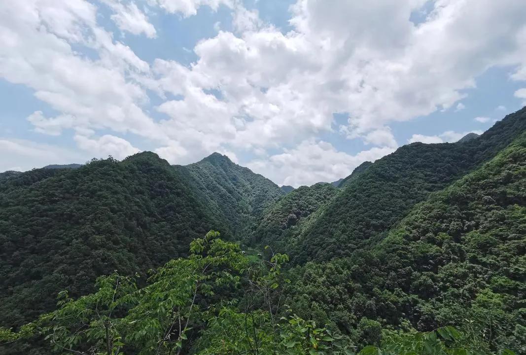 杨绛先生说：“人生的另一半如果选错了，往后的余生每一步都是错的，你会尝尽这世间所