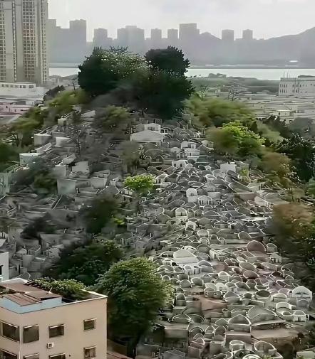 从有土葬开始中国死了几十亿人，耕地也没被塞满！据说占山头、卖墓穴是从火葬开始的。