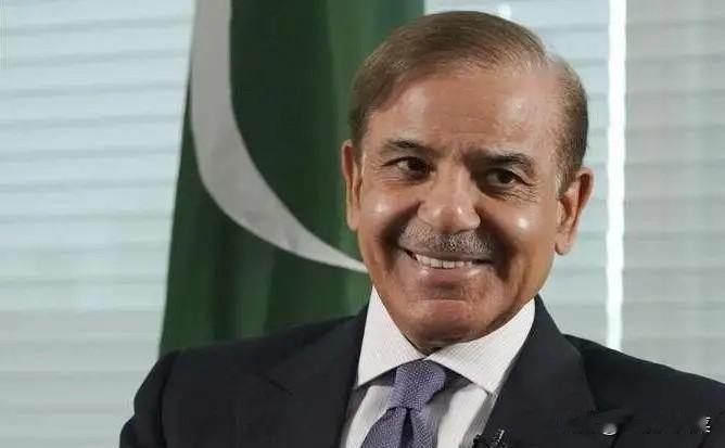 巴基斯坦已经给出了答案：对付山地游击武装，地面消耗是死路，枭龙和歼10CE才是正