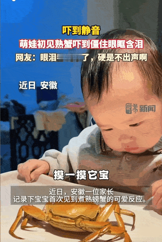 家长把放凉了的熟螃蟹给宝宝玩。十几分钟后发现宝宝的眼睛在轻轻发抖，眼神也有点发直