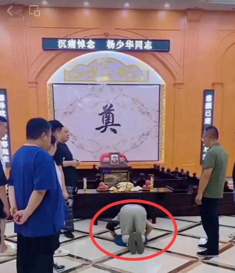 郭德纲再不出手，网友都看不下去了！杨议这人是真的没底线，老父亲刚去世，还热着呢