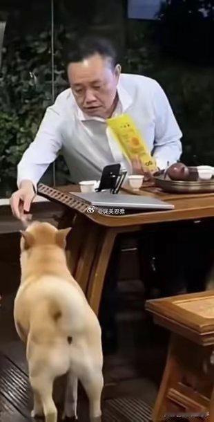 国美创始人，黄光裕的退休生活，喝茶、喂狗这不比张近东和王健林两个老朋友潇洒多了