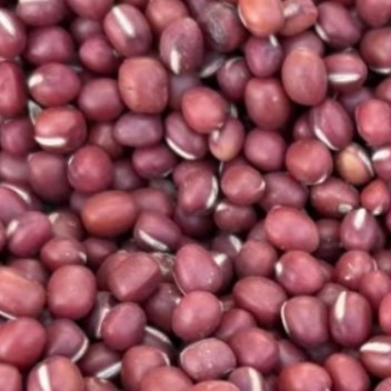 红豆的种植方法:一、土壤与催芽：在盆底铺1层陶粒或小石子作为排水层，再加入营养土