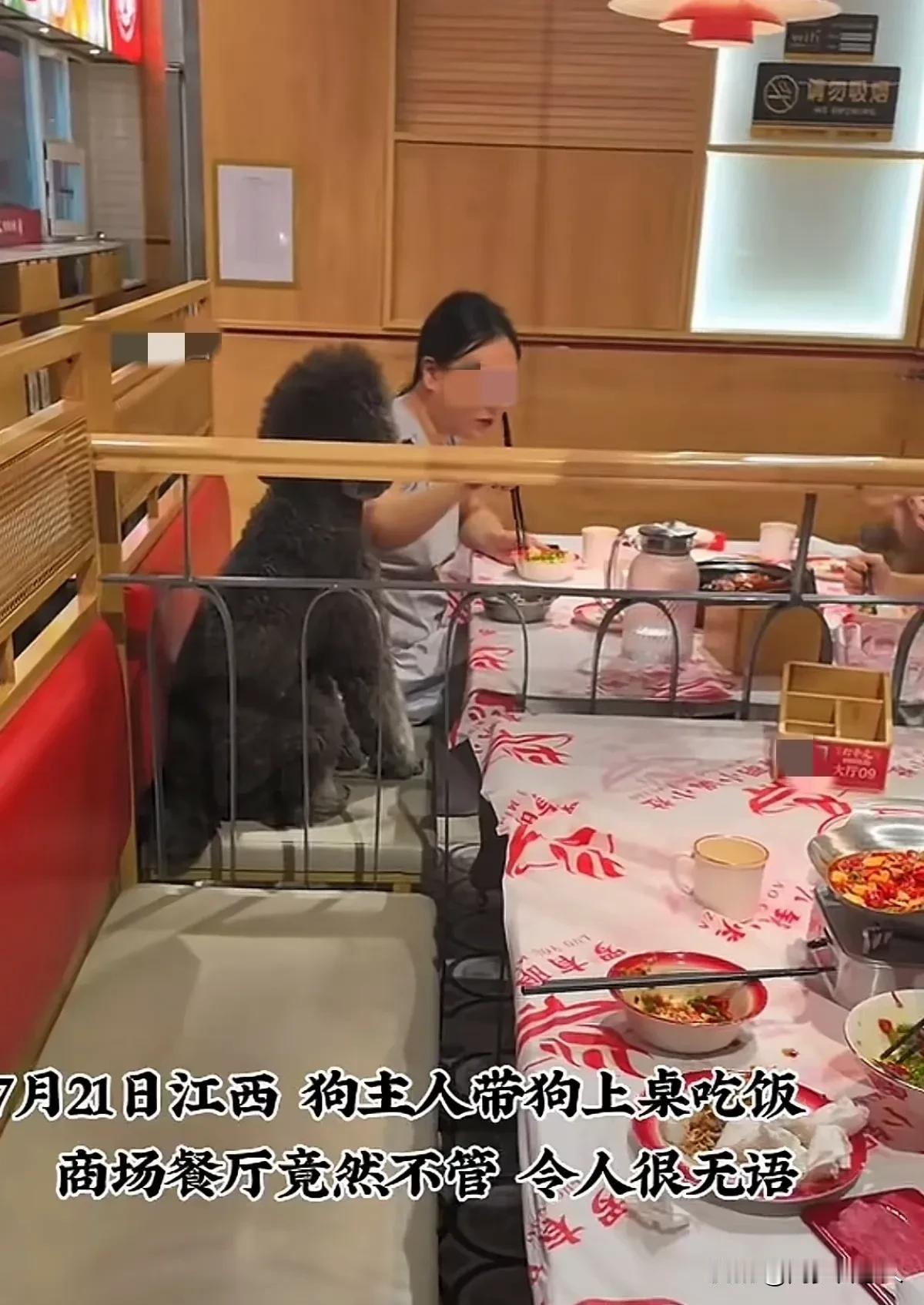 女子带爱犬一起吃火锅被网暴，商家回应有格局，让网暴女子的网友无地自容，他说：“我
