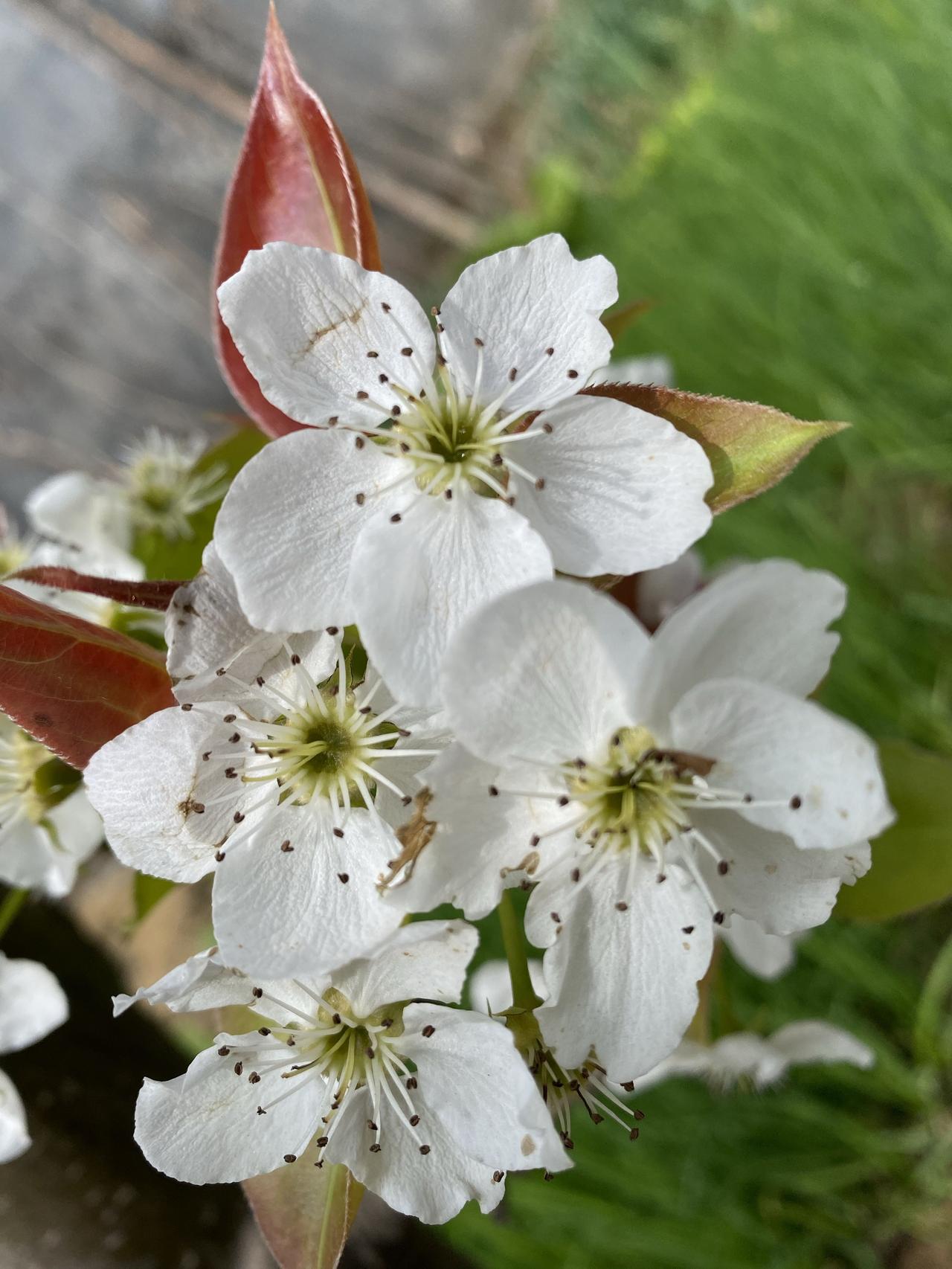 父母给孩子的最大底气，从不是外在的光环，而是刻进骨子里的力量。一、教他“不怕