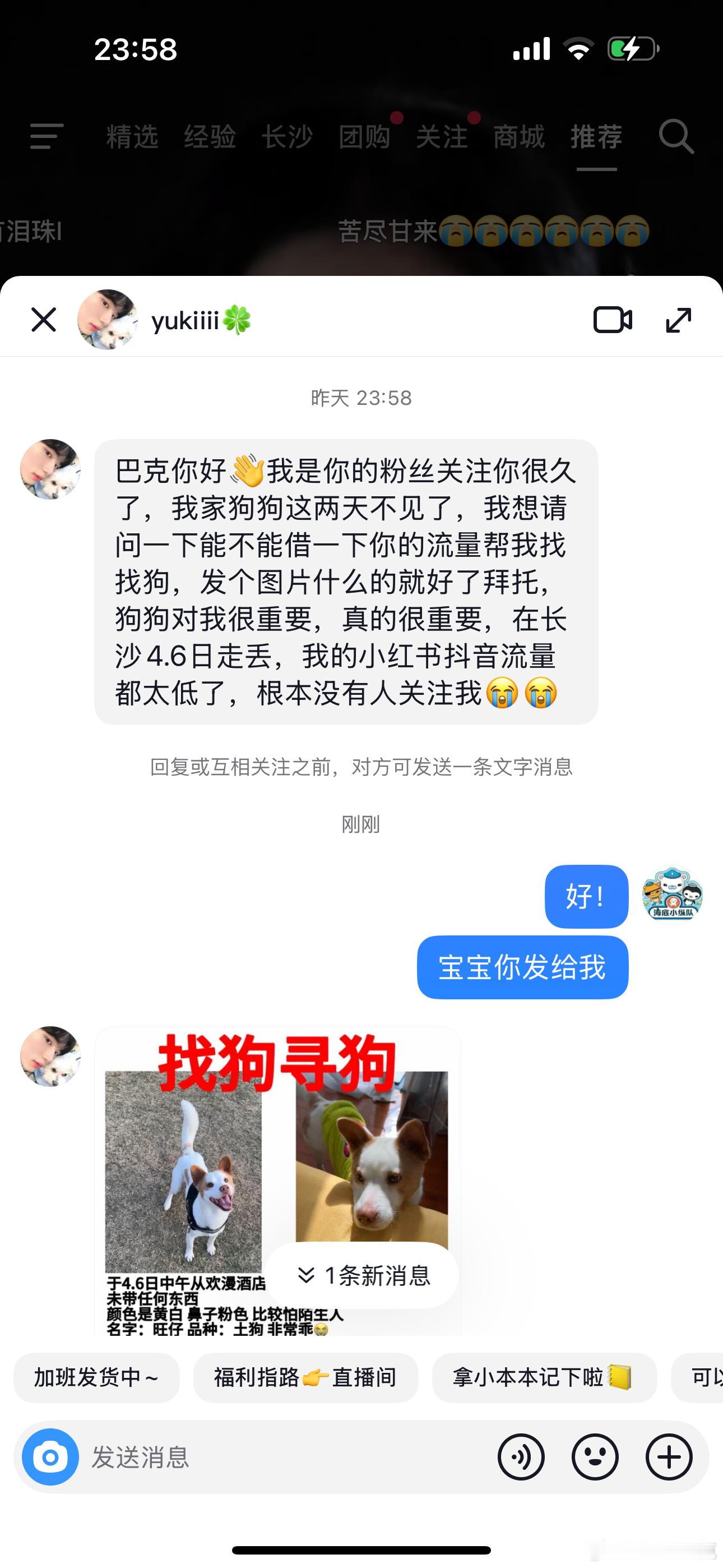 长沙的宝宝有看到狗狗联系她！！​​​