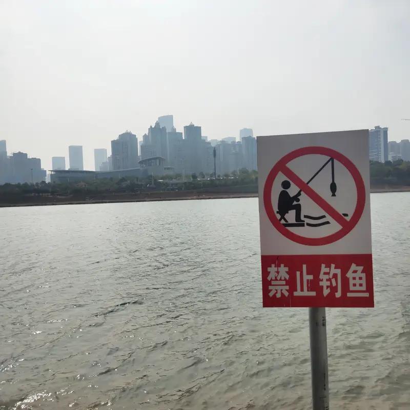 钓鱼爱好者注意啦！2026年5月1日起，新修订的《中华人民共和国渔业法》施行，休