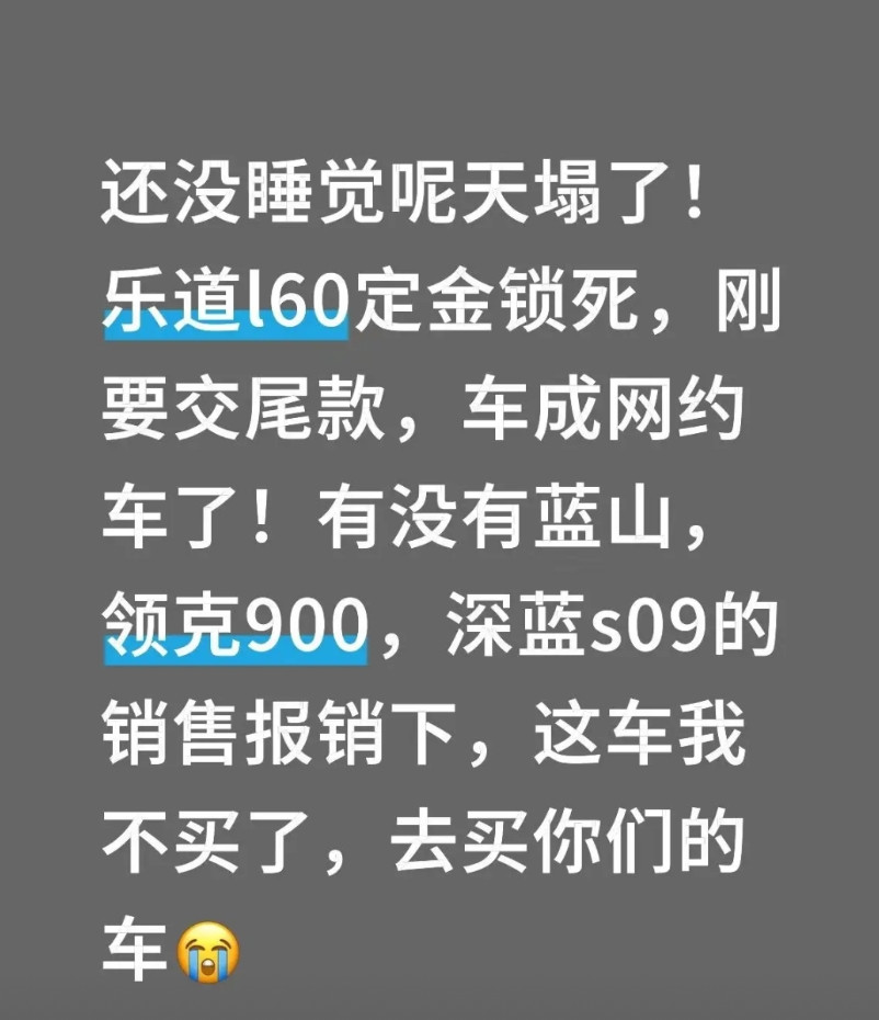 还没睡觉呢天塌了！乐道l60定金锁死，刚要交尾款，车成网约车了！有没有蓝山，领克