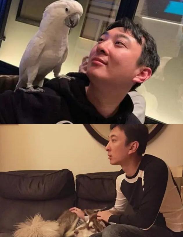 王思聪靠王健林？错了！可能王思聪会是王健林最后的底牌！！！想当年拿5亿投资电竞