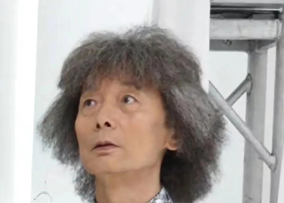 日本著名指挥家小泽征尔，如果需要拍自传的话，葛优是不二人选。不光外形像，气质那