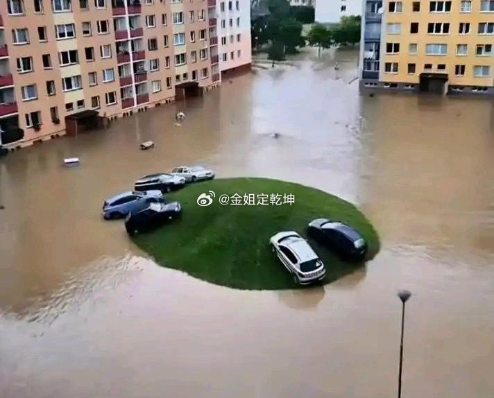 每个小区都有几个大聪明。