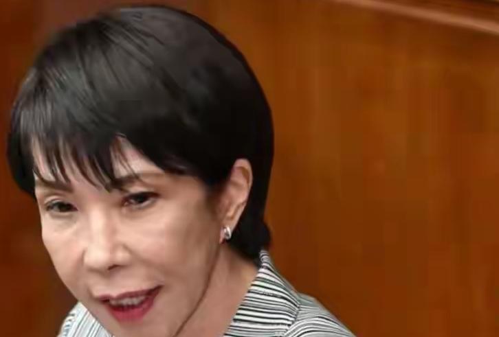 显而易见，高市早苗行事极为幼稚。执政伊始，她便犯下了最为低级的错误，这无疑会给