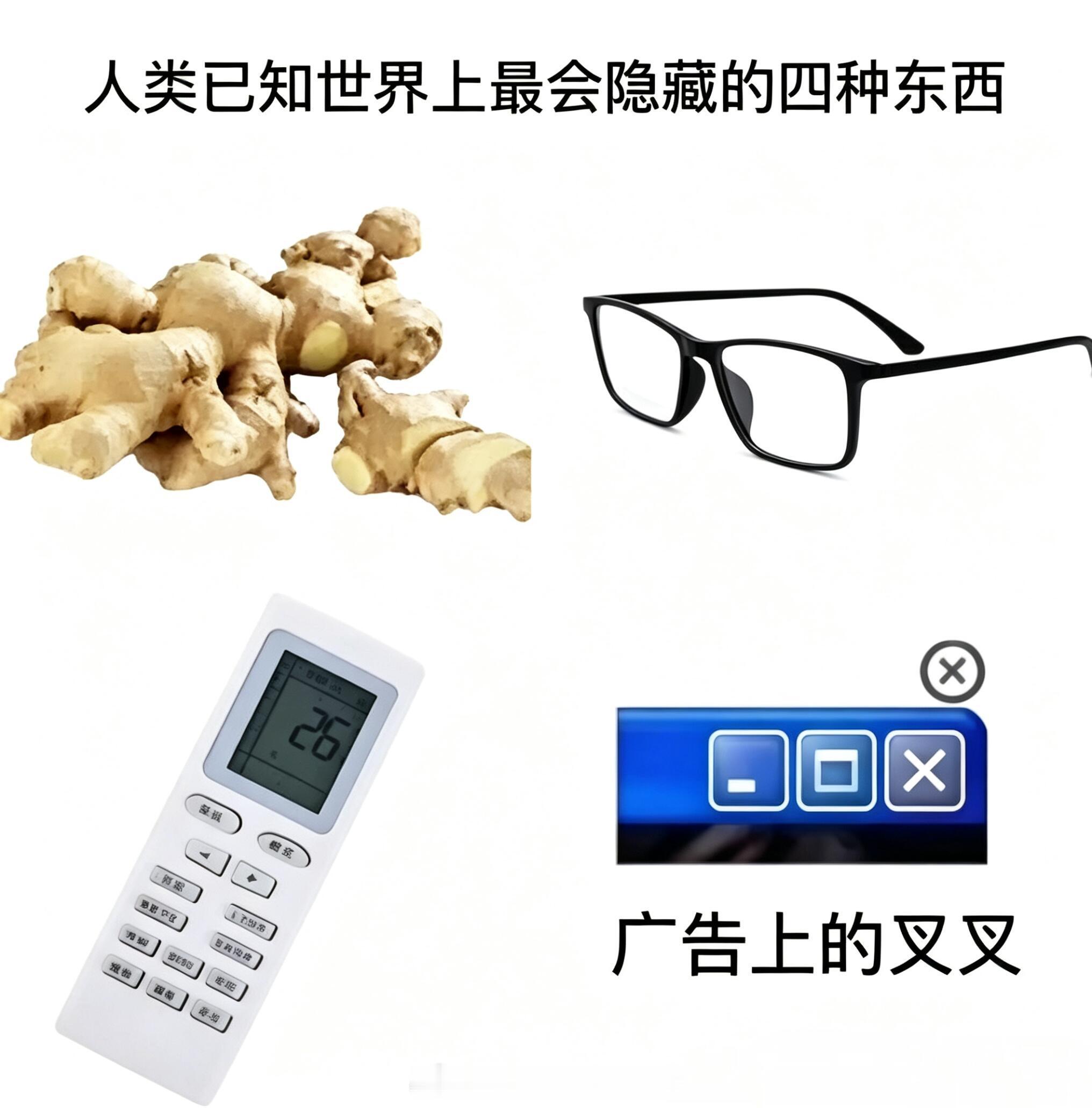 人类已知世界上最会隐藏的四种东西