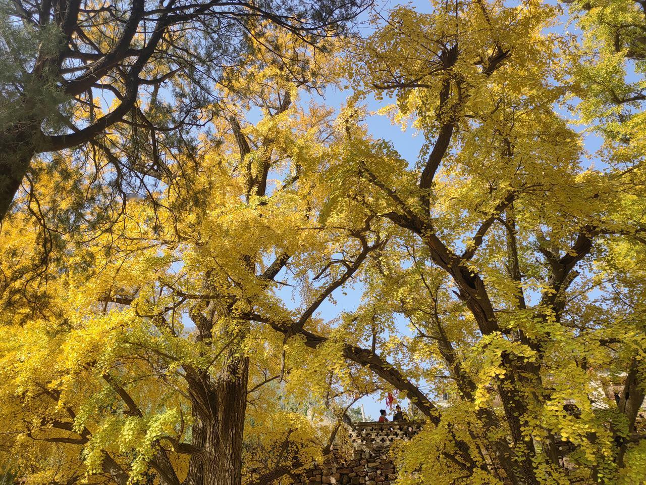 你知道美国评选出的十大奢侈品吗？对照一下，看你拥有几个？很震惊，竟然没有