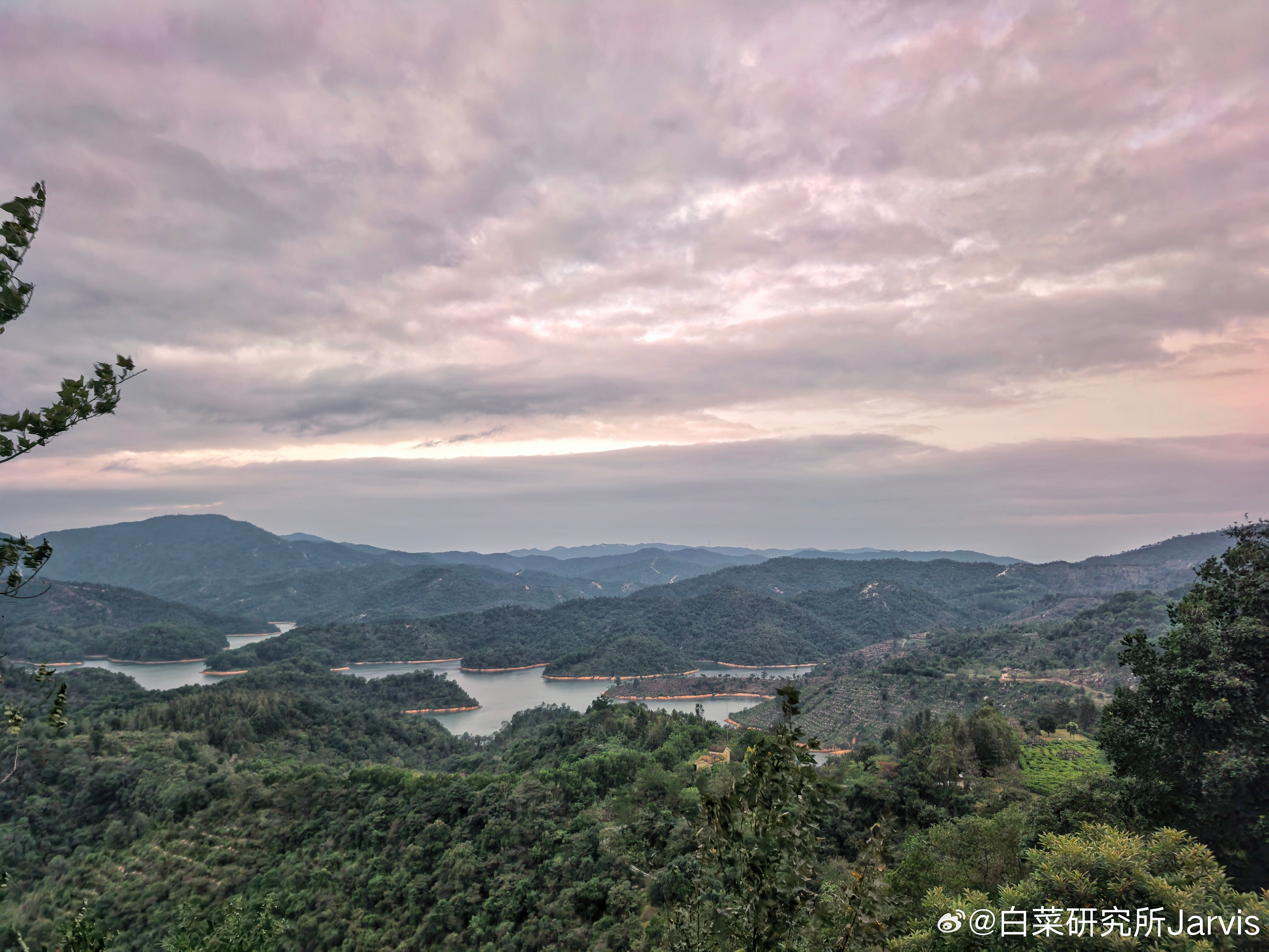 广州还有这种地方啊，要不是从腾冲过来，这地方还真能一眼惊艳一下​​