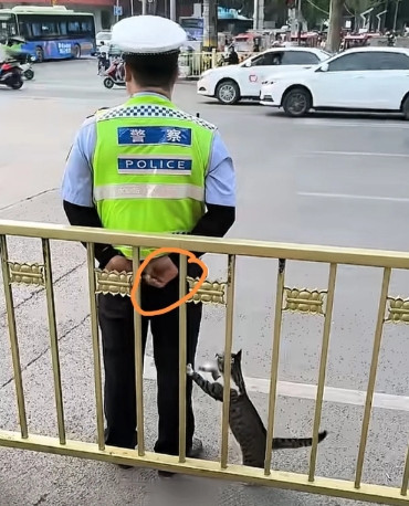 这个交警，暖哭了所有人…