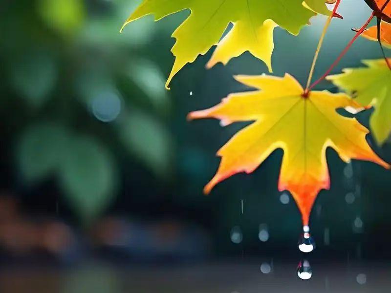 人生暮年，都很可怜我发现：人老了，都很可怜。估计有人会说，这话太悲观太扎心了