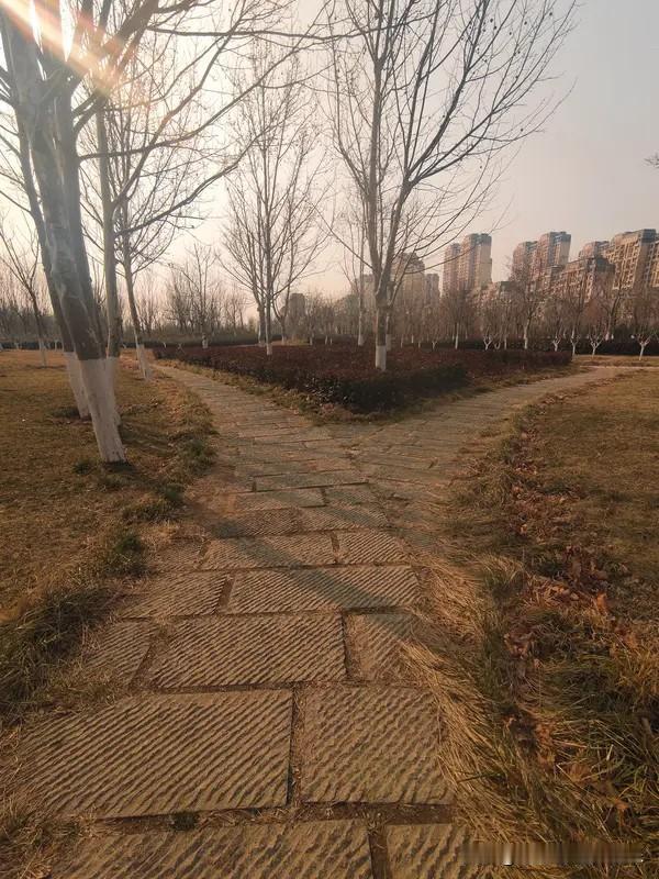 今天是1月12日，农历冬月二十四，早安。人生的很多答案，不是在奔波中找到的，而是