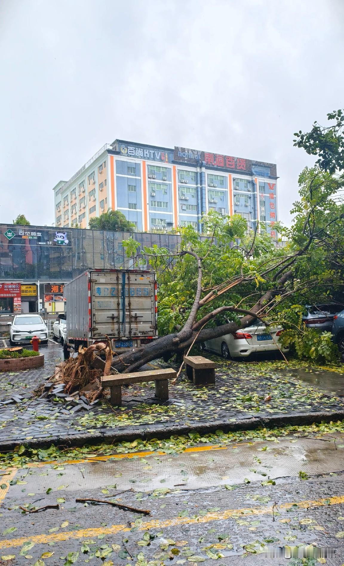 这次台风基本已经走了，留下来的就是这一堆烂摊子，不过还好比18年的山竹毁坏力度小