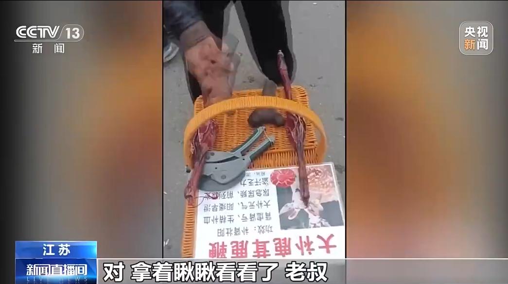 近日，南京警方侦破一起特大针对老年人的强迫交易诈骗案。一犯罪团伙流窜全国14省