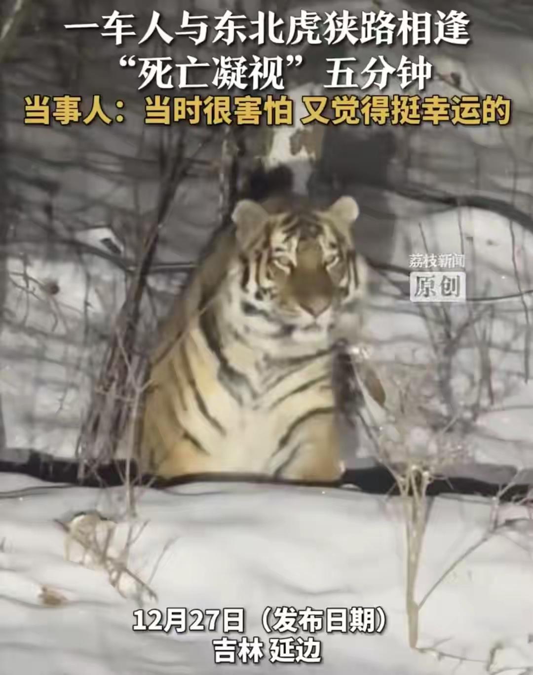 吉林珲春高女士和朋友的雪夜奇遇，真能吹一辈子！12月20日深夜，俩人驾车返乡，车