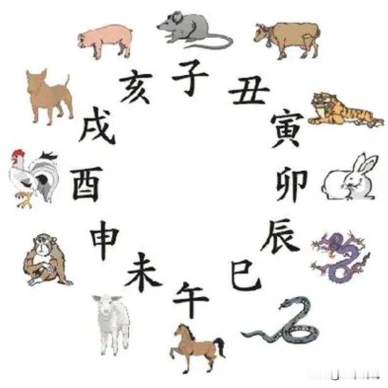 传统文化干货｜十二地支，古人流传千年的智慧编码在中华传统文化里，十二地支绝非