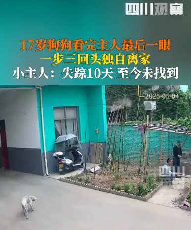 “万物皆有灵！”陕西宝鸡，一男子发现自家养了17年的狗狗失踪了，找了好多天都没找