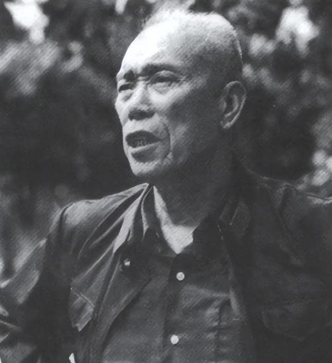 1971年处境恶劣的梁兴初来北京汇报工作，听到毛主席一句话后，梁兴初不明