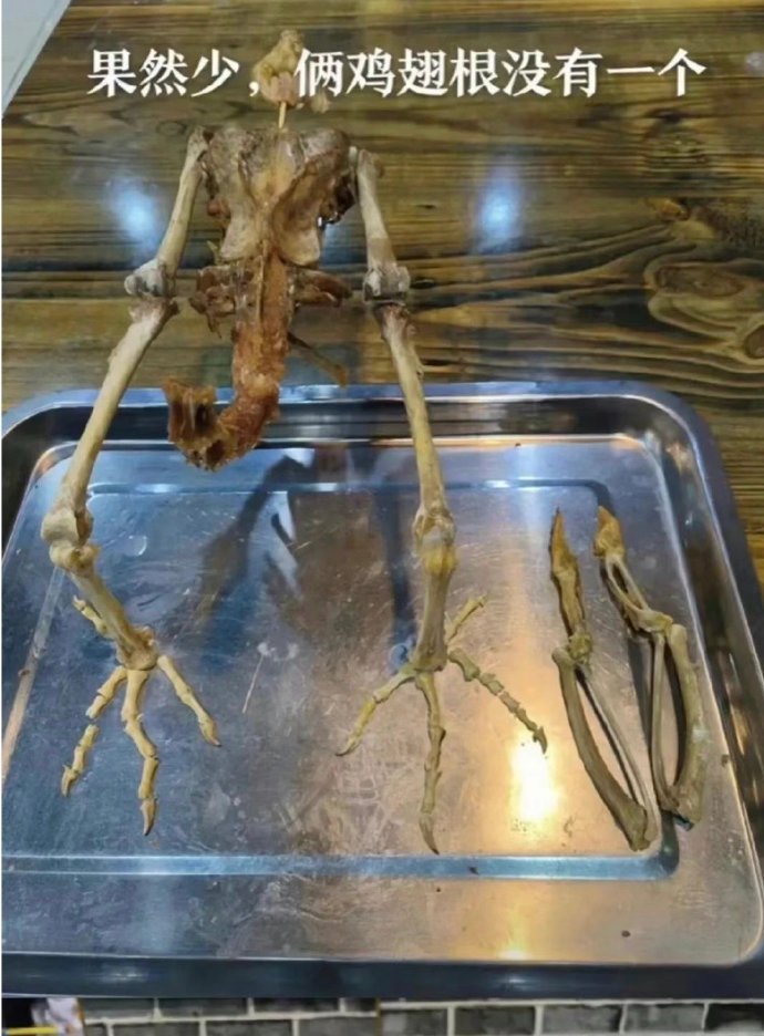 现在这人类再进化一点都能当法医了