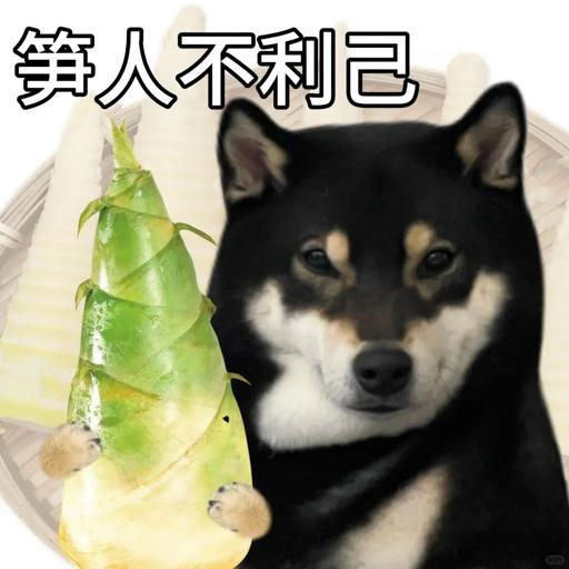 【“雨后春笋”到底能长多快啊？！】近日，重庆的一位阿姨在拔笋时随手把衣服扔在竹林