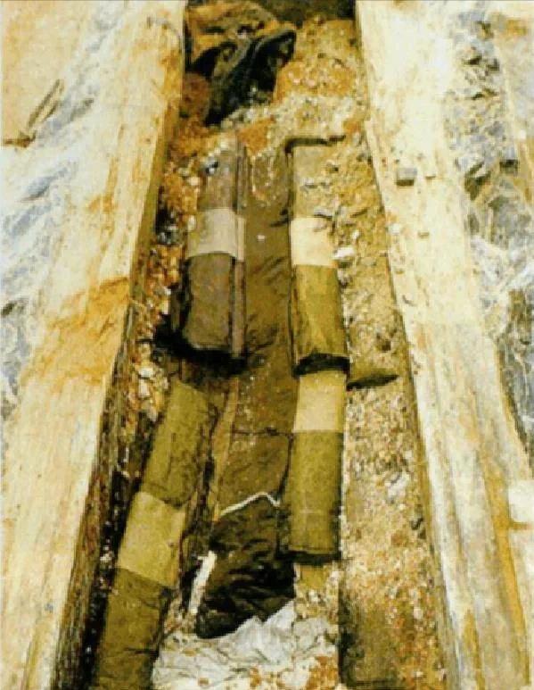 2001年12月3日，江西省文物局的工作人员正在紧张的清理一具因施工被挖机铲断的