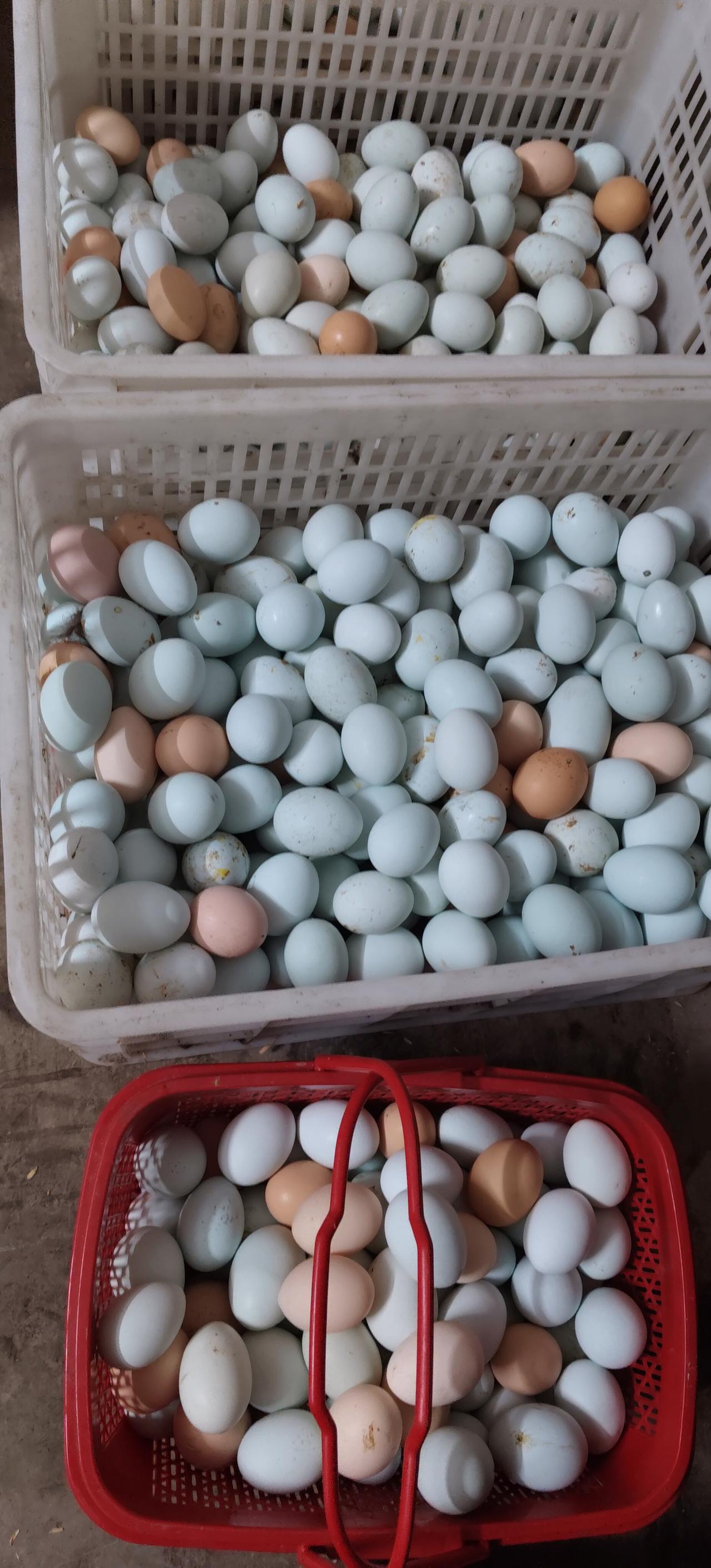 总有人觉得有了钱就没烦恼，这可太天真了。现实里，没钱人有没钱的愁，有钱人也有有钱