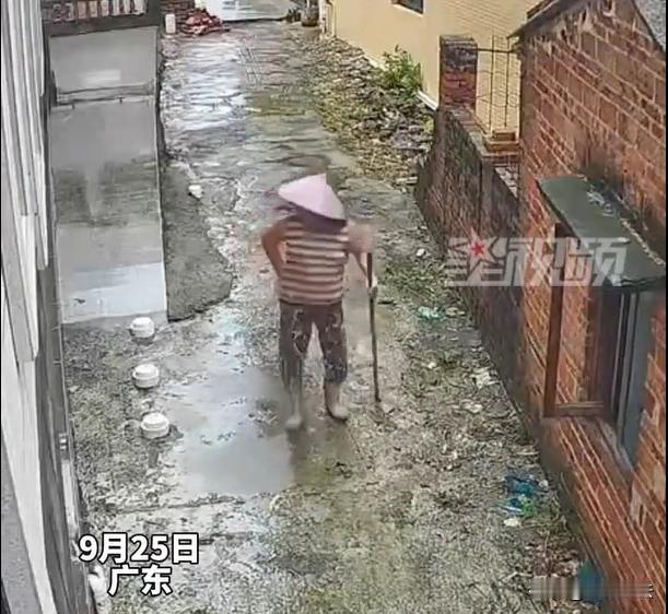 广东，一家农户的老太太，自家的窗户被台风损毁，玻璃掉落一地。老太太看到之后，内心