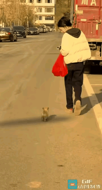 救命！这小奶狗也太会“碰瓷”了吧谁懂啊！小