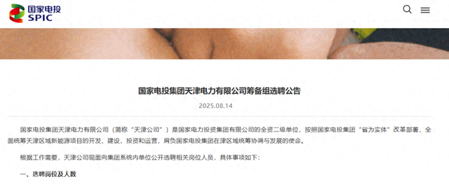 国家电投筹建新公司