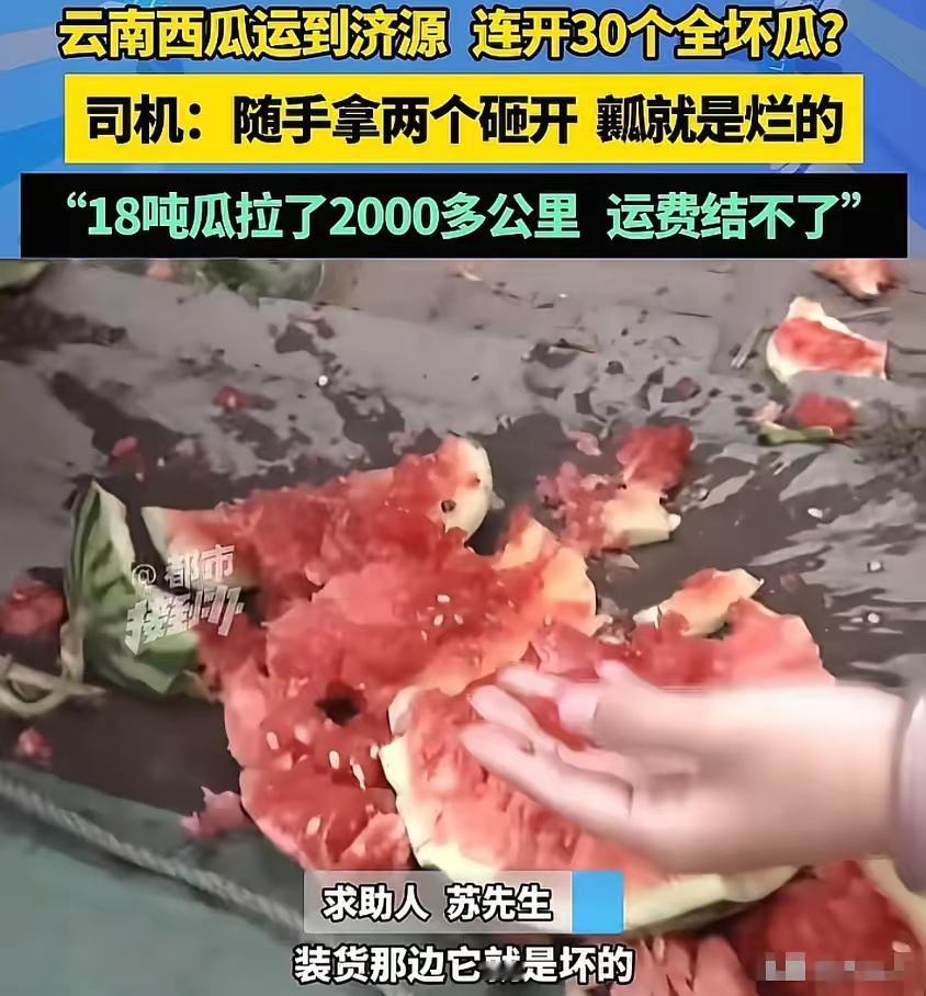 18吨西瓜外表完好里面全烂！司机白跑两千公里，发货方：你拉走顶运费“猪都不吃