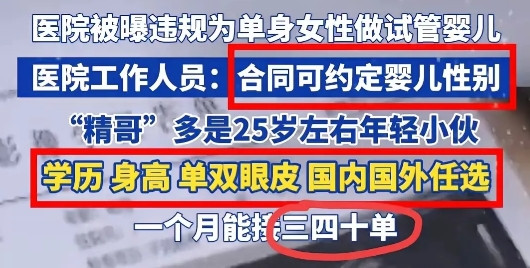 为什么要现阶段禁止单身女性做试管婴儿？因为有调查流浪狗猫八成是故意遗弃的宠物。