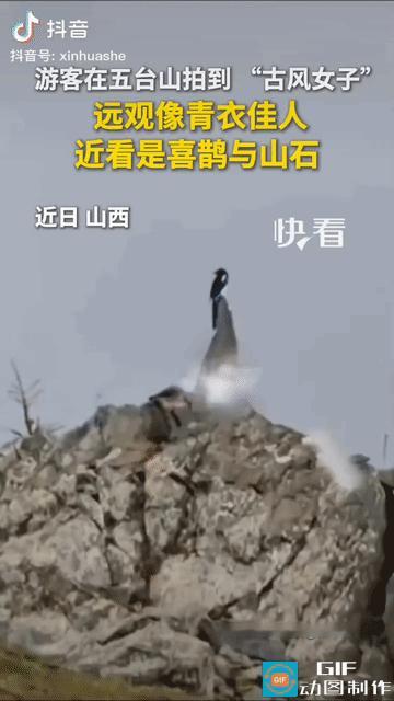 “上新华社了!”山西，一名男子去游五台山，远远看见一位古风美女站立山顶拍照，不觉心头一振，哪料，走近