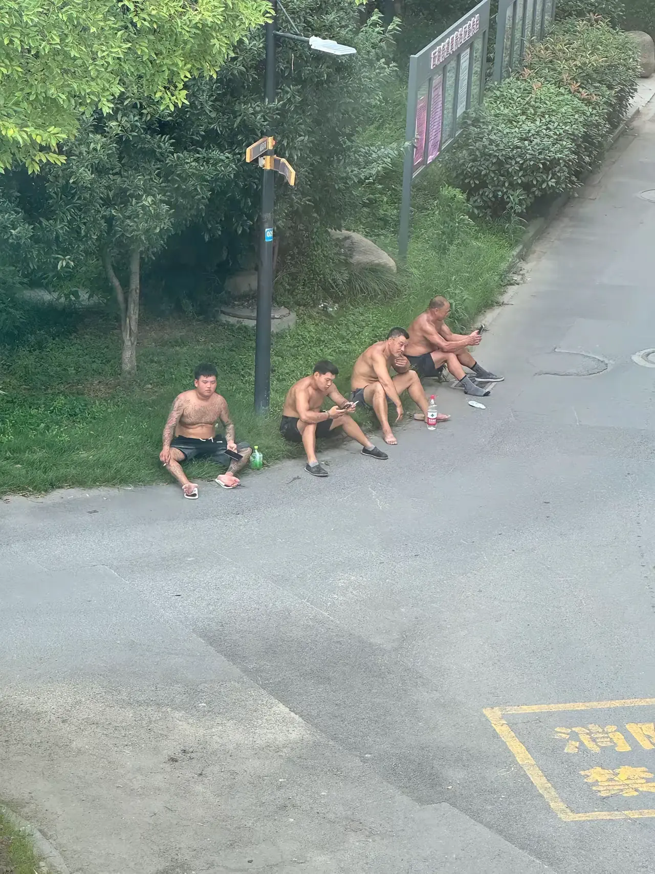 每天上班都能看到这群人在小区