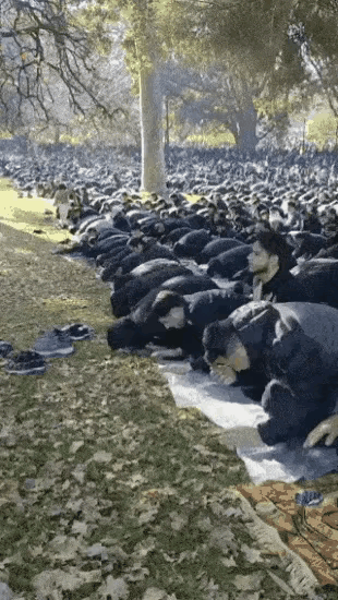 墨尔本街头宗教氛围拉满？别被“人口占领”焦虑带偏，多元才是移民国的真相！网